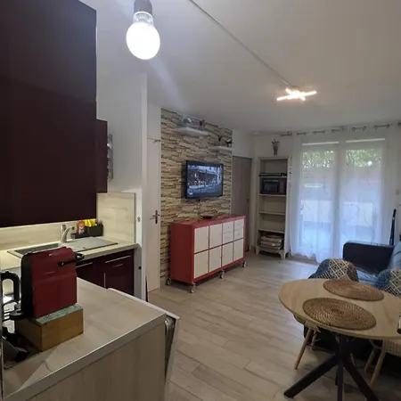 Apartment Residence Le Victoria Hyper Centre Grande Terrasse Plage 2 M Clim Garage Wifi *