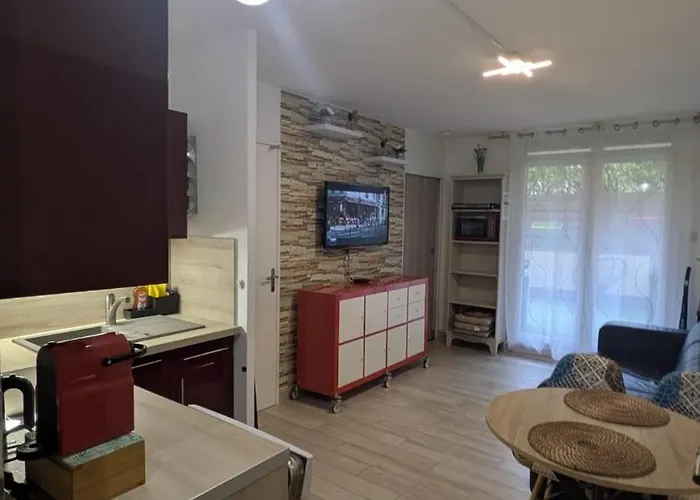 Apartamento T2 Rd Jardin Grande Terrasse Coeur 2 M Clim Garage Wifi *